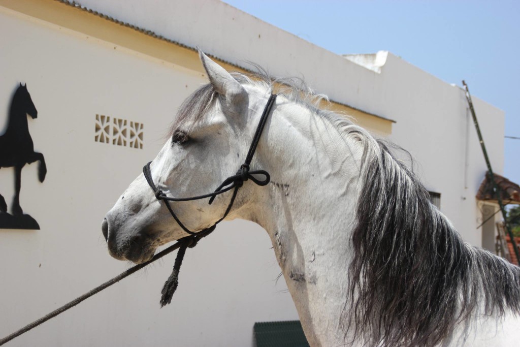 10511452_10204323925966360_2694088352317217386_o