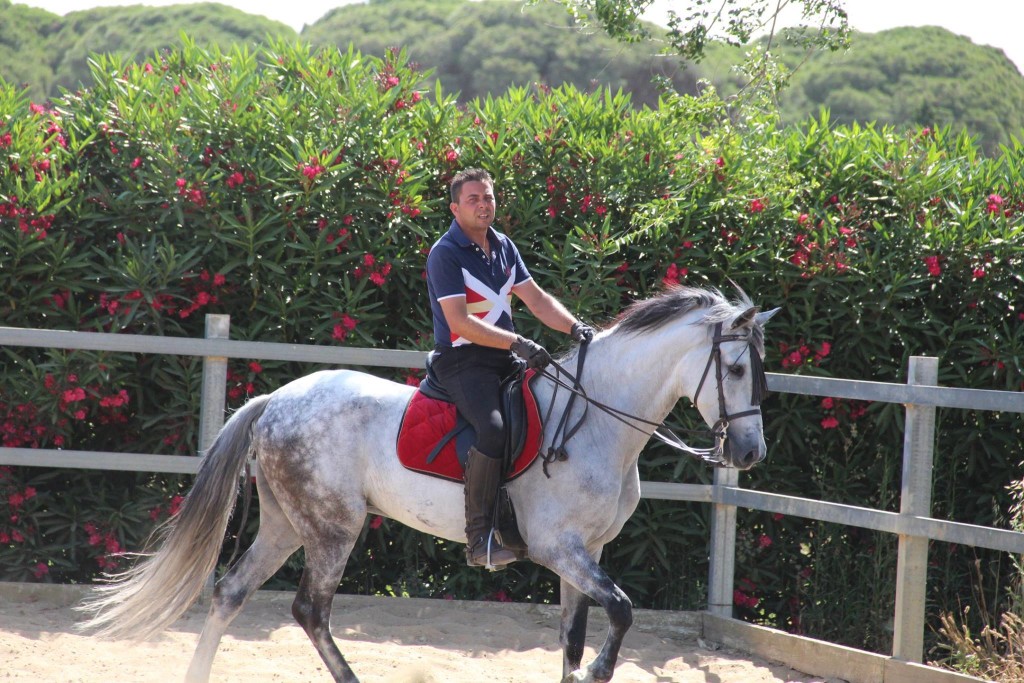 11416329_10204323927166390_6327569546812509682_o