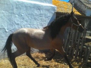 11880327_10204660567222181_4076830978650467440_n