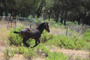 11896556_10204650386807677_478270380142300159_o