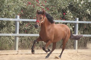 11954783_10204689278179937_2507667592105894175_n