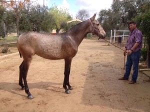 11222576_10204795437273848_8225278179049195377_n