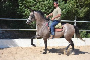 11892356_10204769373982282_6858956478997642838_o