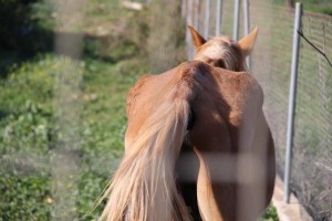 12322744_10205184589162402_8267516900764078303_o