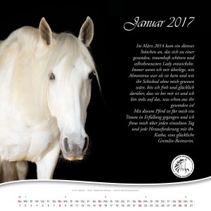 Aktion-Gremlin-Wandkalender-Januar2017