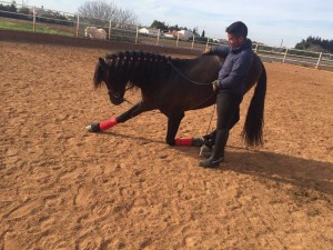 12832455_10205739106704994_543057480404717503_n