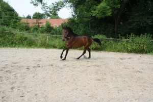 13516245_10206443729120114_3683847543944820616_n