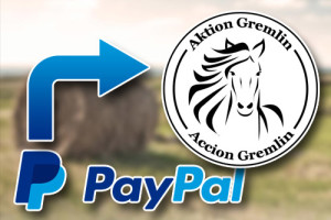 paypal-aktion-gremlin