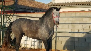 12932791_10205969097974632_4026167776687759252_n