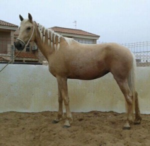 13233091_10206196703664632_1367715850960580757_n