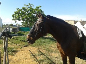 13263726_10206214012857351_8460598021640561044_n