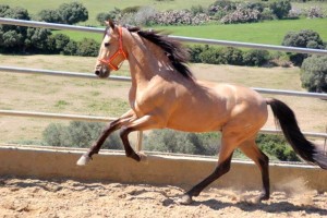 12983829_10206017666748821_1234846033345682410_o