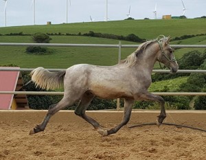 13327412_10206293648168184_3158297973301237440_n