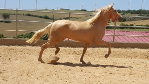 13490724_10206452234012731_1750601534406939117_o