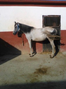 13876220_10206650291604047_8739219193900151191_n