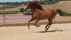 13995473_10206779689558915_6138082436393196542_o