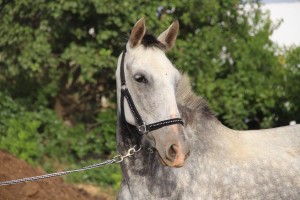 14054425_10206789744090272_4167207778310415056_o