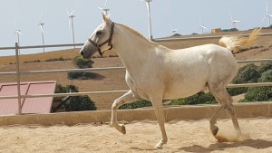 14409400_10207033003131596_4917557112912506981_o