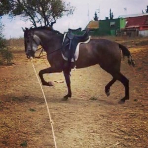 14517572_10207112774725836_580902392862618250_n