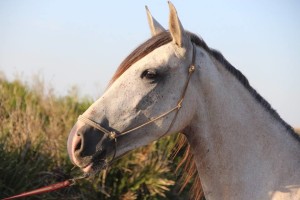 21761577_10209874315362626_8832226286239373239_n