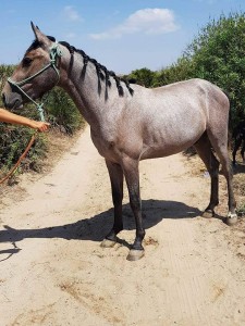 22007542_10209975318687646_7156674335428177353_n