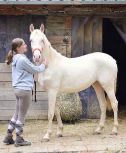 22089319_10209963262706254_8511095027353103295_n