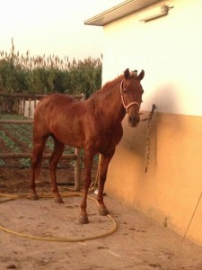 22853461_10210213184914153_8584060205834607845_n