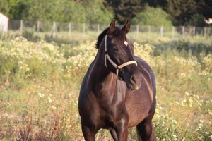 23131726_10210231723337602_2601508668731084785_n