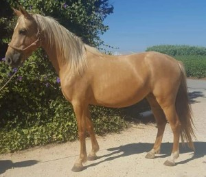 37817192_10212073305095995_8693503807037898752_n