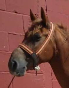 39467325_10212212941906828_6527347161653313536_n