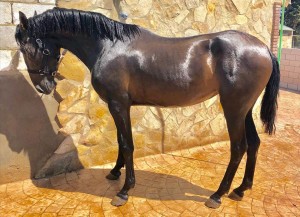 39558208_10212223560772293_798032733510041600_n