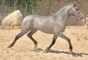 41746992_10212388240049172_6681580983440900096_n