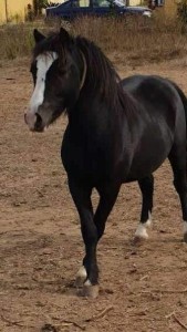 42476425_10212425347936846_337209036439027712_n