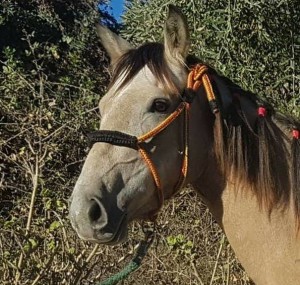 43952586_10212554478925040_7035928094737170432_n