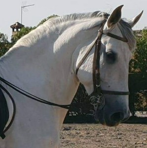 44315794_10212587976762465_3198253908136820736_n