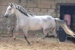 45367169_10212672411033269_6816909922559590400_n