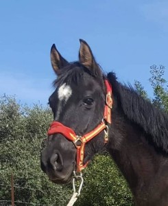 47425732_10212882272919685_933520178396790784_n