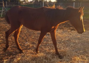 47438227_10212890475884754_1632682532824678400_n