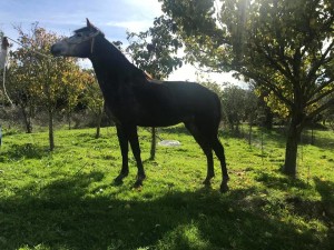 47488373_10212888934966232_1164418423388635136_n