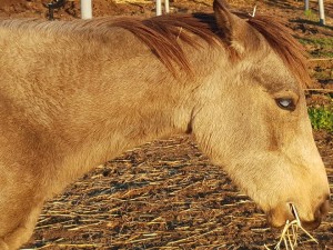 48365886_10212897958791822_3631880759893032960_n