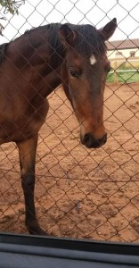 48390065_10213021768206980_7760748893029007360_n