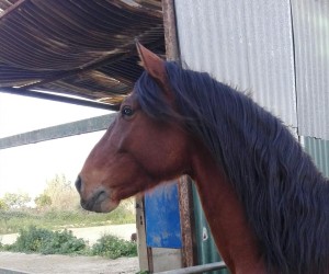 53055714_10213393450298800_2811427107391930368_n