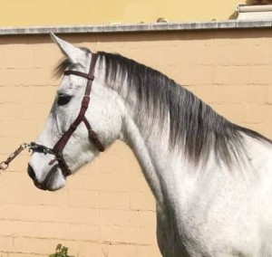 53209783_10213512219547957_4958186026905370624_n