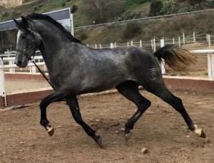 53596186_10213517616442876_5404246431026380800_n