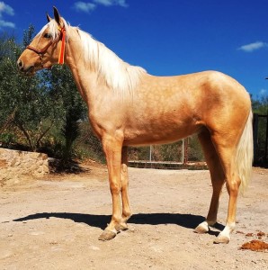 55446832_10213566163536523_541623572485898240_n