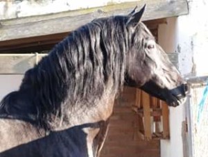 64577088_10214068420212626_4178503609886965760_n