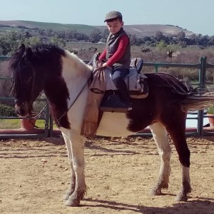 65375731_1962818160490313_4741367895890591744_n