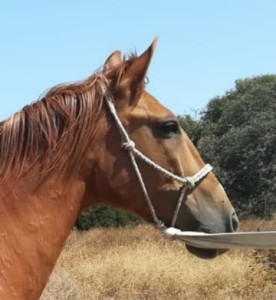 WhatsApp Image 2019-07-24 at 15.58.04