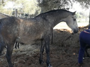 WhatsApp Image 2019-07-29 at 20.09.56(1)