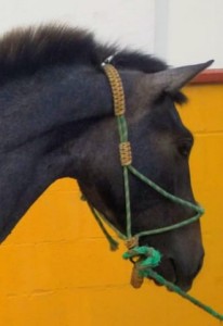 WhatsApp Image 2019-07-30 at 14.15.28